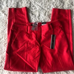Express pants